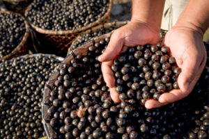 What is acai?