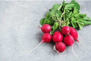 Radishes and dogs